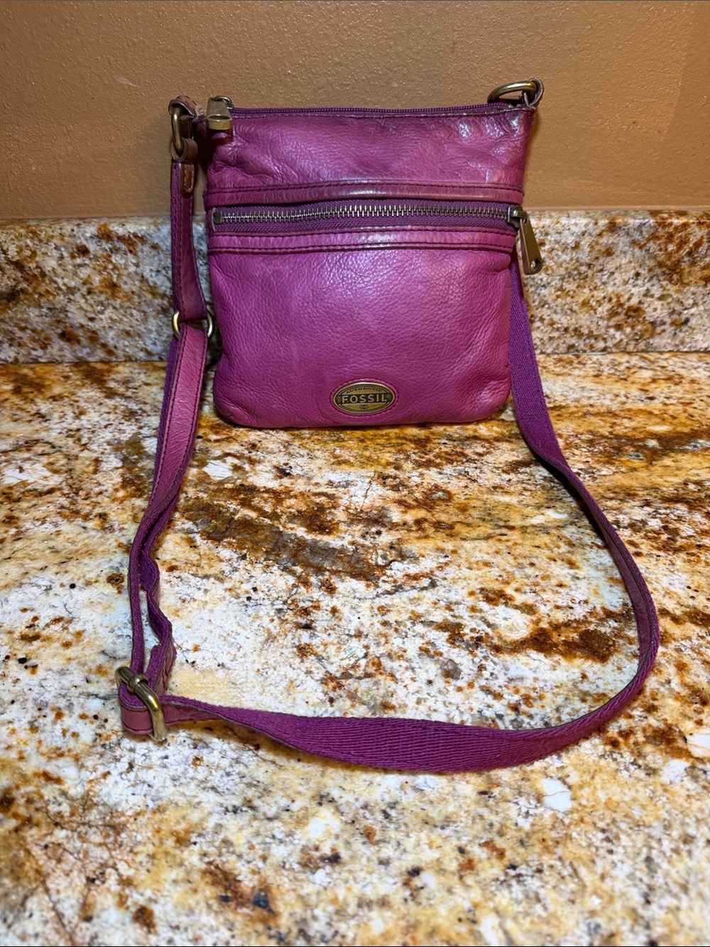 Fossil Women's Crossbody Bag in Plum